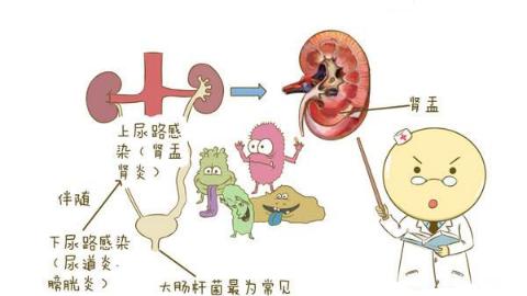 綿陽高水醫院男科專家:太敏感,時間短,試試這樣做