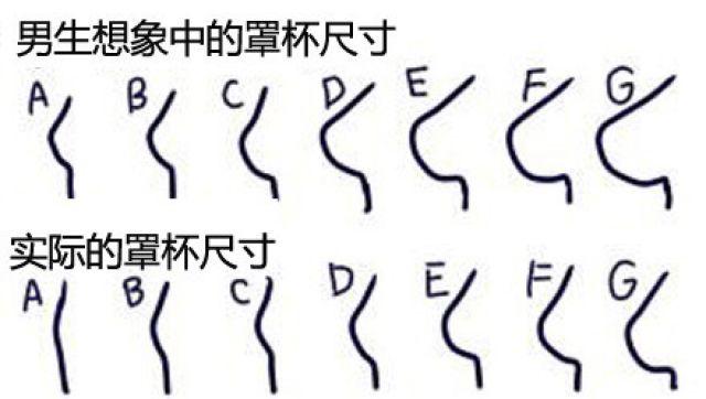 a罩杯和b罩杯相差多少厘米?A罩杯和B罩杯有什么區別? a罩杯和b罩杯相差多少厘米?A罩杯和B罩杯有什么區別?