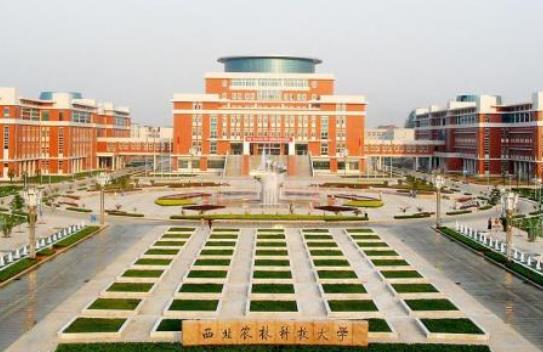3、西北農林科技大學.jpg