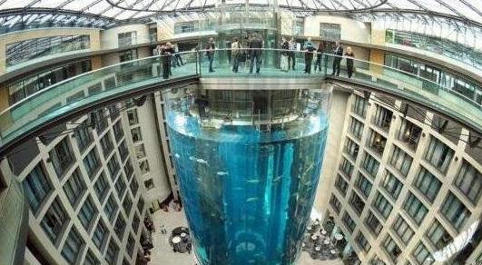 八、AquaDom.jpg