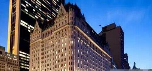 四、The Plaza Hotel.jpg