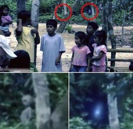 二、巴西雨林的外星人.jpg