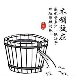 心理學(xué)十大效應(yīng)排行榜,木桶效應(yīng)最出名,羊群效應(yīng)第二