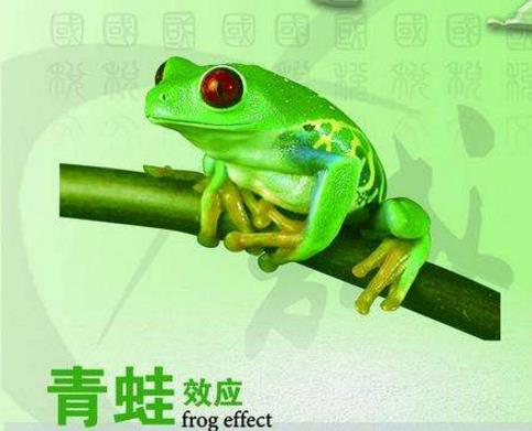 心理學十大經典定律排行榜,青蛙效應你知道是怎么回事嗎?