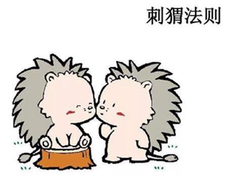 心理學十大經典定律排行榜,青蛙效應你知道是怎么回事嗎?
