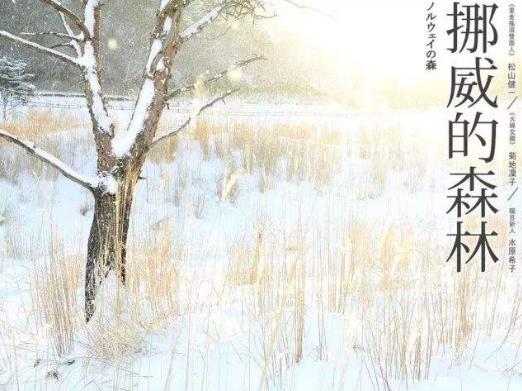 女生必看的十本書籍排行榜,《傾城之戀》第一,《情人》第二