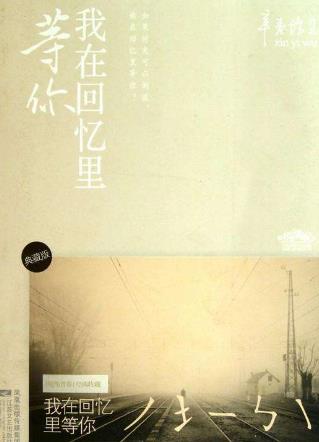六本現代言情小說排行榜,《第三種愛情》第一,《翻譯官》必看