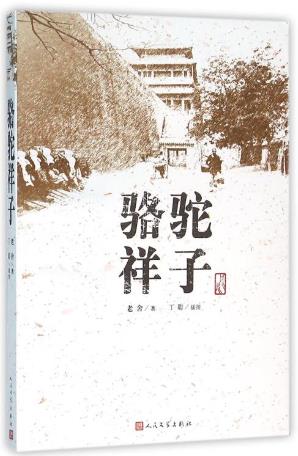 12本假期課外閱讀書籍排行榜,《海底兩萬里》第一,《駱駝祥子》第二