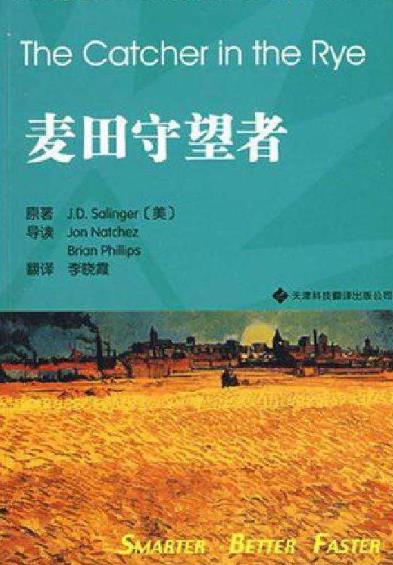 8本經典青春小說排行榜,《關于莉莉周的一切》值得品一品