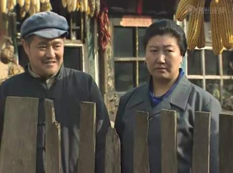 中國最經(jīng)典十大農(nóng)村劇排行榜,《怪王外傳》評分高達9.0