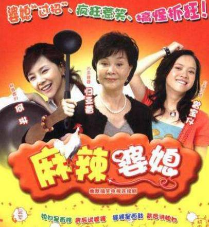 中國最經典十大婆媳劇排行榜,《金婚》收視率最高