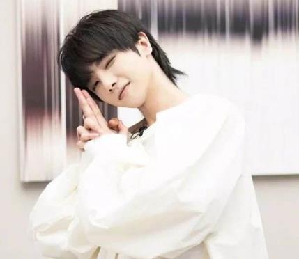 湖北十大帥哥明星排行榜,演技派王凱位居首位