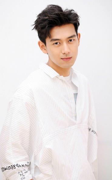 湖北十大帥哥明星排行榜,演技派王凱位居首位
