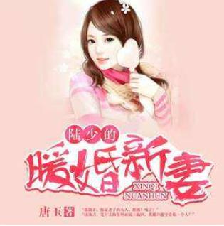 2019十大最火的寵文小說排名,《遇見,傅先生》帶你熱戀