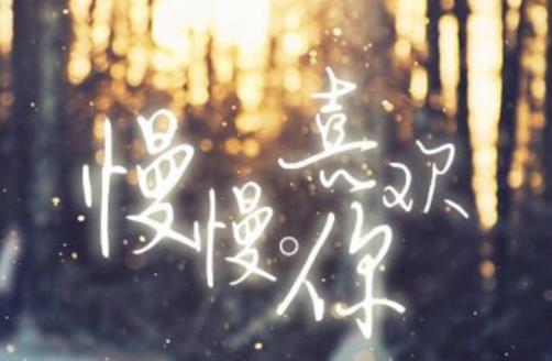 冷門(mén)好聽(tīng)到哭的中文歌排名,《太多》《慢慢喜歡你》很好聽(tīng)