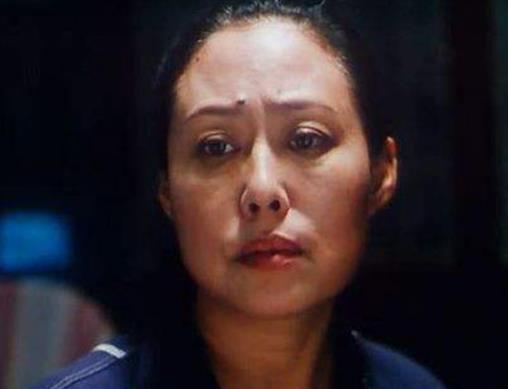 十大感人國(guó)產(chǎn)電影排行榜,《媽媽再愛(ài)我一次》《可可西里》引人淚目