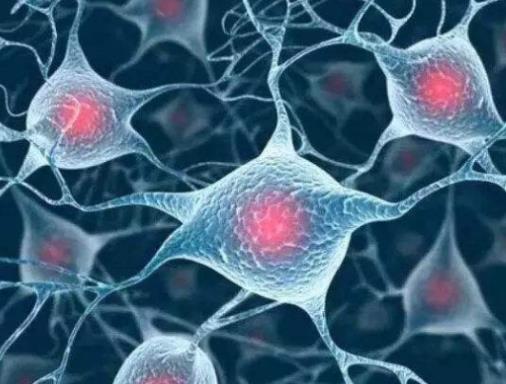 世界十大新科技排名,量子計算機、液體活檢都是高科技