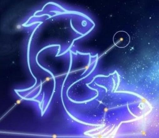 最厲害的血型星座女排名,B型血雙子座、O型血雙魚座受人歡迎