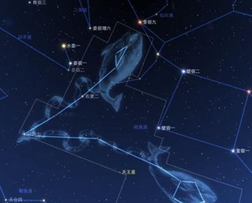 十二星座女顏值排行榜,處女座、獅子座的女生很漂亮