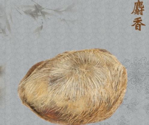 世界十大名貴藥材排名,藏紅花、人參的價(jià)格都很高