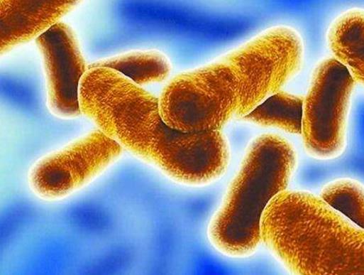 世界十大最致命的毒藥,肉毒桿菌、蓖麻毒素殺傷力都很強