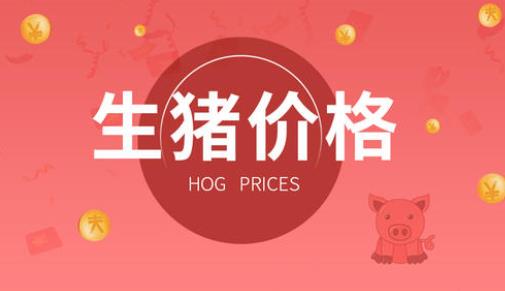 2019今日頭條年度關鍵詞榜單,國慶大閱兵、香港是國人關注熱點