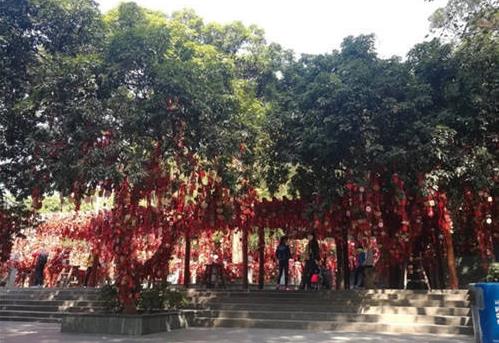 深圳7大香火旺盛的寺廟,羅湖區(qū)弘法寺自然風(fēng)景優(yōu)美,鳳巖古廟信徒多