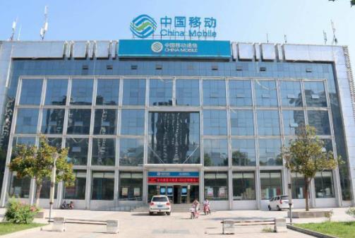 中國服務(wù)業(yè)企業(yè)百強排名,國家電網(wǎng)有限公司經(jīng)營范圍覆蓋率高