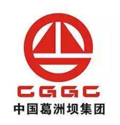 湖北省優秀企業排名,武鋼集團有限公司、中國葛洲壩集團有限公司很有名