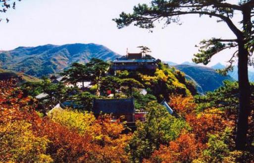2019中國文化強縣排行榜,繁昌縣有文化價值,岳西縣森林覆蓋率高