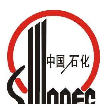 2019一帶一路中國企業排名,國家電網有限公司保障國家能源穩定