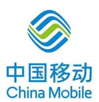 2019一帶一路中國企業排名,國家電網有限公司保障國家能源穩定