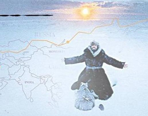 十大經(jīng)典探險求生電影排名,《南極大冒險》《重見天日》驚險刺激