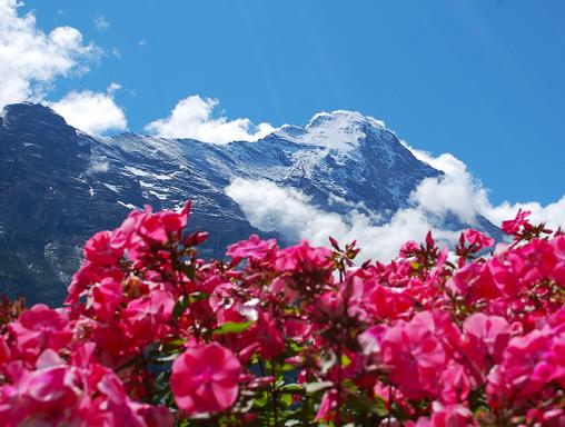 世界上最美麗的10座山,馬特宏山是瑞士阿爾卑斯山的象征