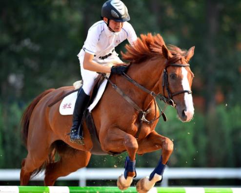 全球最燒錢的5種運動,賽車、馬術需要大量金錢支撐