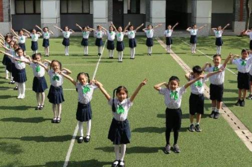 幼師必備軟件排行,幼師口袋、幼師寶典助你成為完美幼兒工作者