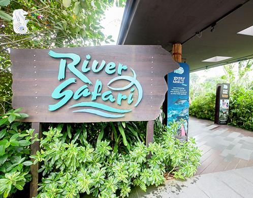 世界十大最佳動物園排行,奧馬哈動物園、惠靈頓動物園很不錯