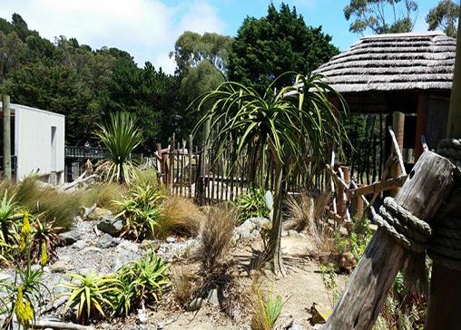 世界十大最佳動物園排行,奧馬哈動物園、惠靈頓動物園很不錯