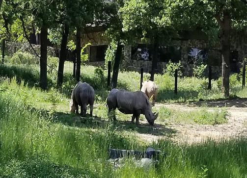世界十大最佳動物園排行,奧馬哈動物園、惠靈頓動物園很不錯