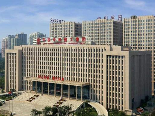 中國最大的十大公司,中國石油化工集團公司、中國石油天然氣發展迅速