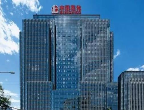 中國最大的十大公司,中國石油化工集團公司、中國石油天然氣發展迅速