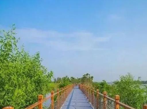 東莞十大人少好玩的景點(diǎn),橫坑村、黎氏大宗祠讓你玩得盡興