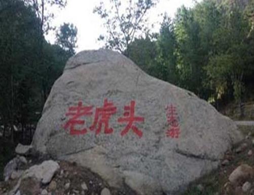石家莊十大最具特色的景點(diǎn),天桂山、駝梁山景色非常秀美