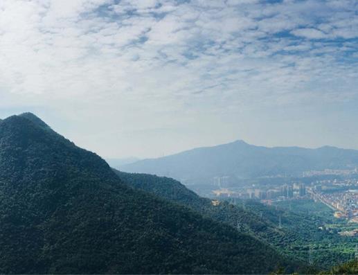 東莞十大適合節(jié)慶游的地方,東莞可園、粵暉園人潮涌動(dòng)