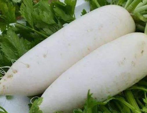 十大清腸排便食物排行榜,火龍果、香蕉減脂排便