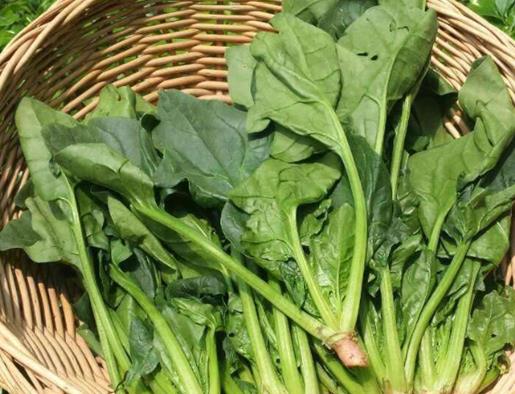 十大清腸排便食物排行榜,火龍果、香蕉減脂排便