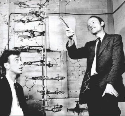 全球十大生物學家排行榜,達爾文是進化論的奠基人、林奈是生物學家