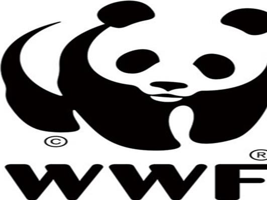 世界十大慈善基金會排行榜,聯合國環境規劃署、全球基金值得信賴