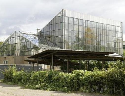 世界農學排名前十的大學,瓦格寧根大學、瑞典農業科學大學很出色