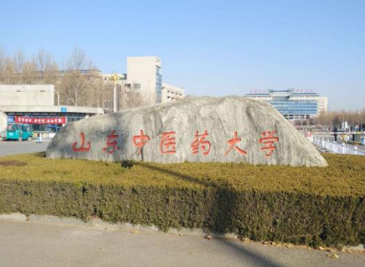 中國十大中醫學院,北京中醫藥大學、廣州中醫藥大學很權威